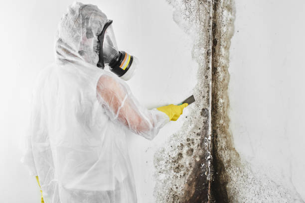 Best Bathroom Mold Remediation in Bren Arrow, OK