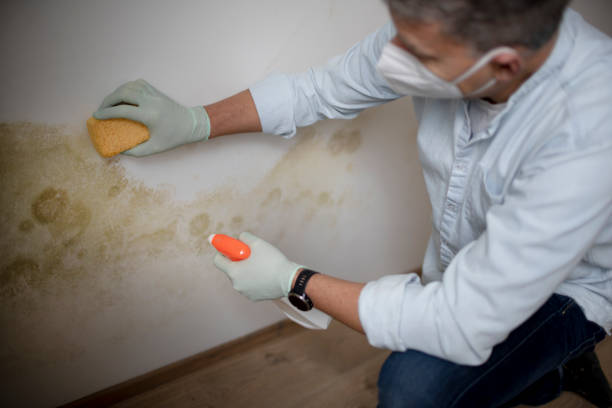 Best HVAC Mold Remediation in Bren Arrow, OK