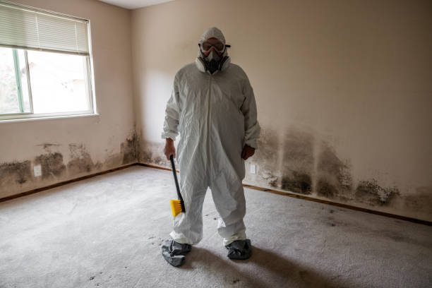 Best Emergency Mold Remediation in Bren Arrow, OK
